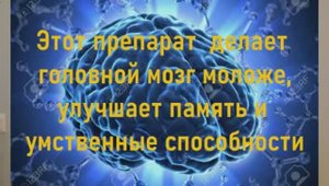 Этот  препарат делает головной мозг моложе