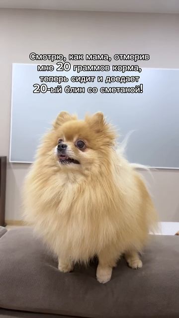 Басенька недоедает!