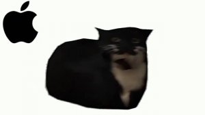 Maxwell cat, but famous ringtones, meme