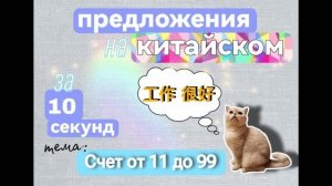 Счет от 11 до 99 по-китайски