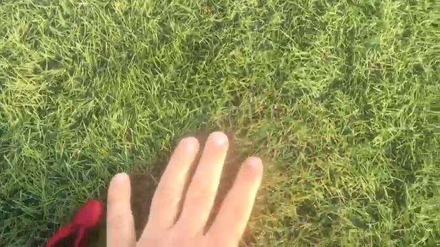 Видео с футбольного поля в Торревьеха. Испания. 10.09.2017