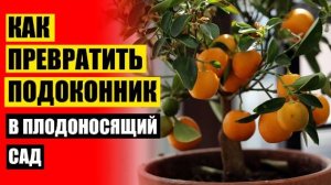 Как из семечка лимона вырастить дерево ❗