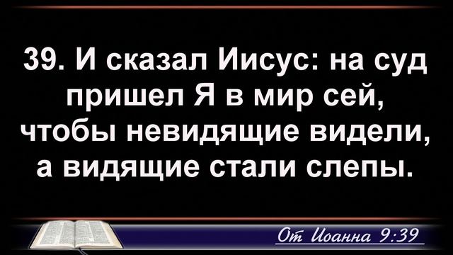 Алексеенко Александр 16.01.2025г