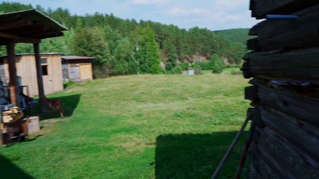 КАК ПОДРОСЛИ НАШИ УРАЛЬСКИЕ АРБУЗЫ  ИСКУПАЛИСЬ В РЕКЕ  СПАСАЕМСЯ ОТ ЖАРЫ
