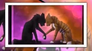 Пары Коты Воители.