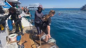 ДАЙВИНГ В НАЦИОНАЛЬНОМ ПАРКЕ ЕГИПТА РАС-МОХАММЕД  МОРЕ СОЛНЦЕ ЯХТЫ ПОДВОДНЫЕ КРАСОТЫ КРАСНОГО МОРЯ