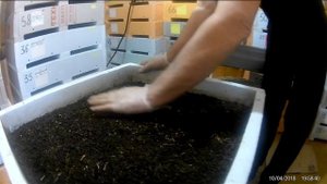 Почему запаренные отруби??? Ответ подписчикам.