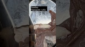 Шов Ламбера