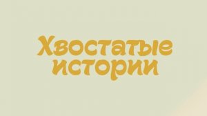 Хвостатые истории. Всемирный день добра.