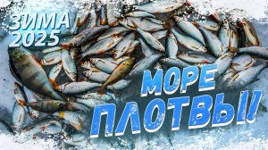 ЗИМНЯЯ РЫБАЛКА 2025 в Беларуси! МОРЕ ПЛОТВЫ И ПОКЛЕВКИ! Рыбалка на ВЯЧЕ