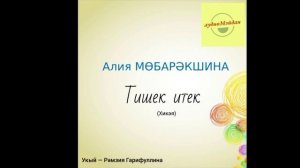 Алия Мөбарәкшина. «Тишек итек» хикәясе.