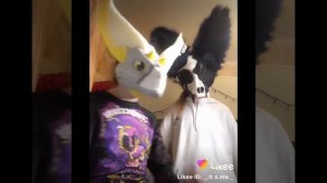 подборка из лайка Фурри #фуррифендом #фурри