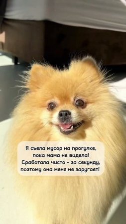 Бася - хитрюга!