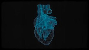 Reed Wonder, Aurora Olivas - The Machine (Sped Up)