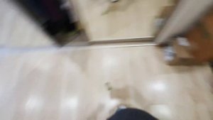 Воспитанный шпиц дарит коту весеннюю траву!