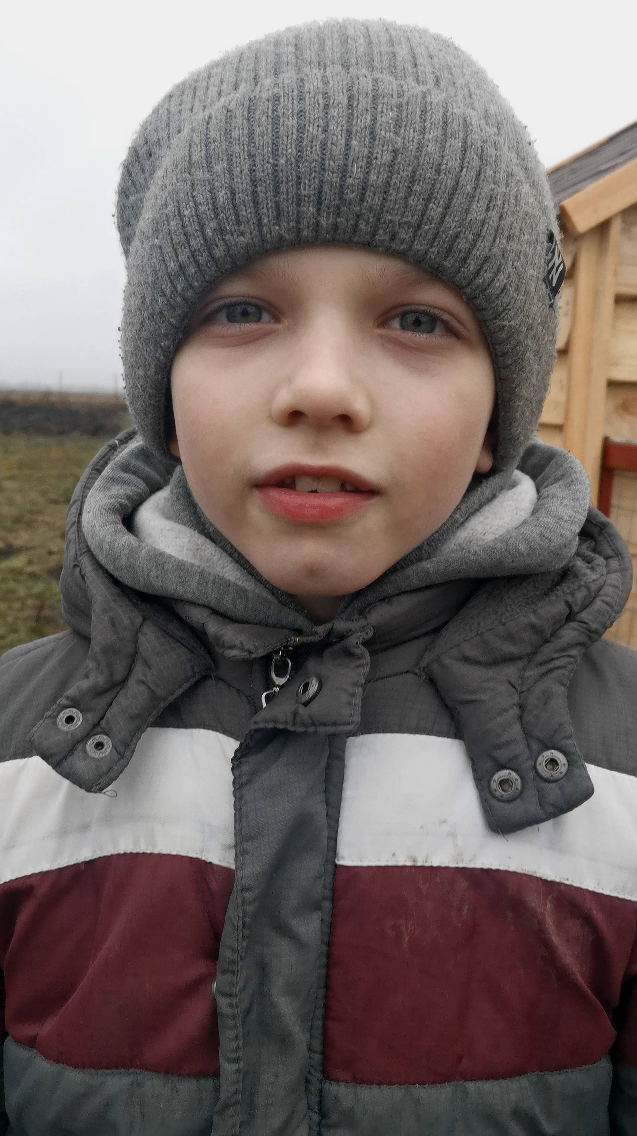 КУРЫ ДОМА