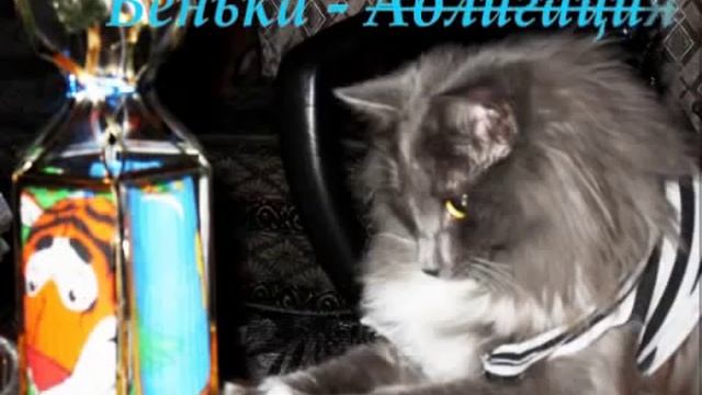 Ну и рожа у тебя, Шарапов смотреть онлайн