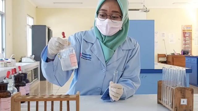 Reaksi Spesifik Kation Golongan IV смотреть онлайн