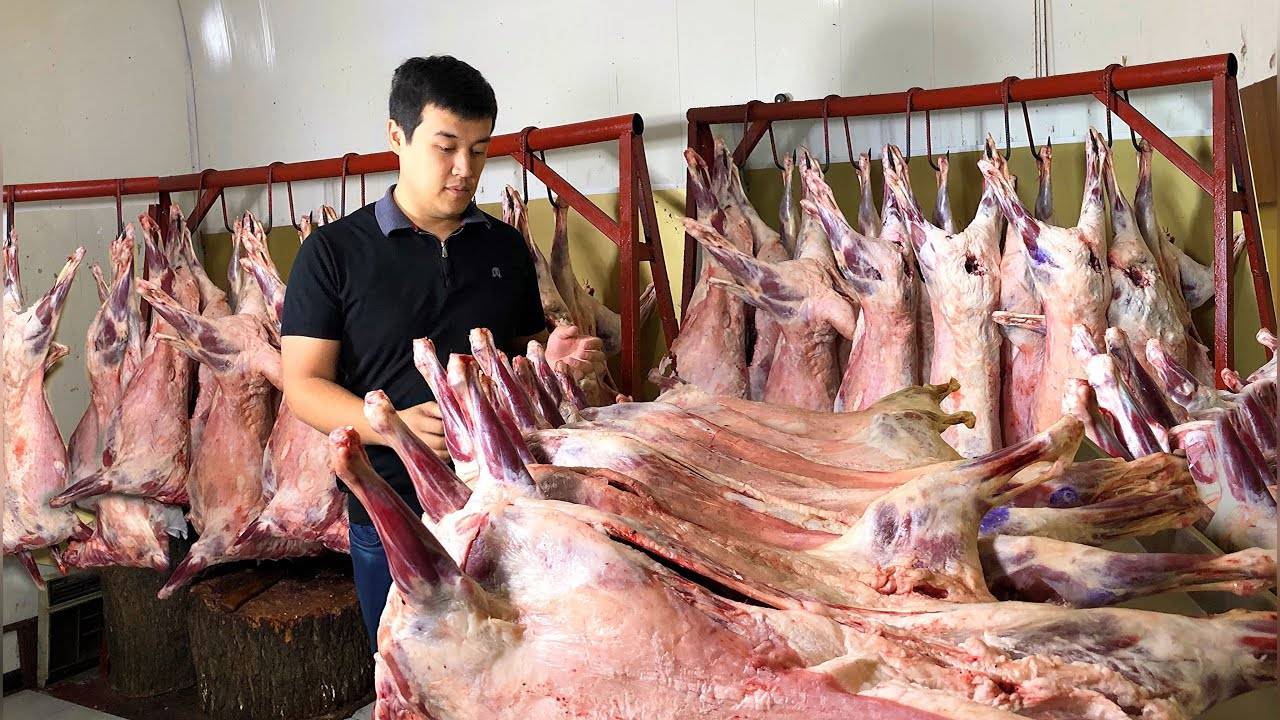 САМОЕ НЕВЕРОЯТНОЕ БЛЮДО | 20 ЯГНЕЦ В ДЕНЬ | Черный суп | Джиз Биз смотреть онлайн