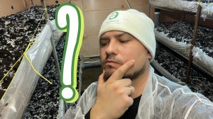 ГРИБНОЙ ВЫЗОВ|ВЫРАЩИВАНИЕ ГРИБОВ В ЭКСТРЕМАЛЬНЫХ УСЛОВИЯХ.