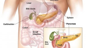 БОЛЬ В ЛЕВОМ ПОДРЕБЕРЬЕ. ЧТО ДЕЛАТЬ /  PAIN IN THE LEFT HYPOCHONDRIUM. WHAT TO DO?