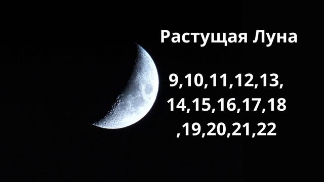 Фазы луны в Мае 2024 года