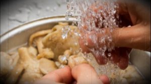 Как хранить вешенки