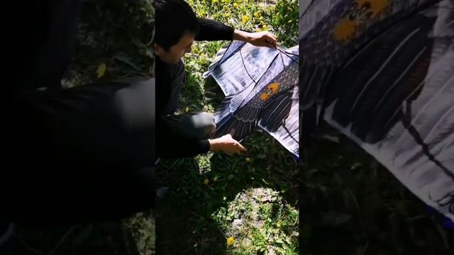 Собираем Воздушный змей Орёл смотреть онлайн