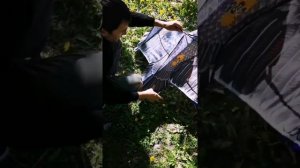 Собираем Воздушный змей Орёл