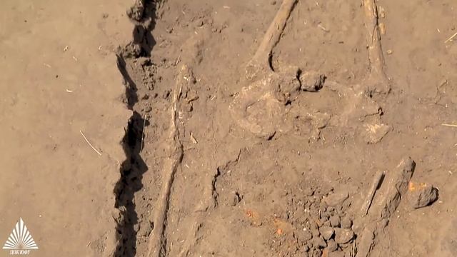 Южно-Донская археологическая экспедиция 2021 смотреть онлайн