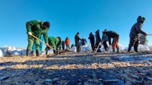 1,5 млрд рублей на ликвидацию последствий разлива мазута в Черном море выделено Краснодарскому краю