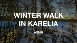 Relaxing walk in the forest, winter Karelia 4k ASMR | Прогулка по лесной тропе, живописные пейзажи