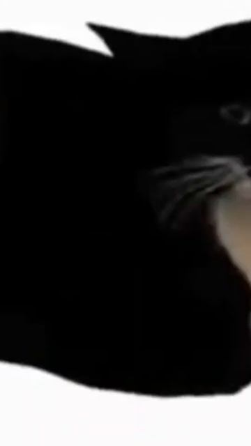 a beautiful song to cheer you up #music #goofyahh #idk смотреть онлайн