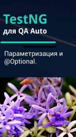 TestNG для QA Auto. Параметризация и @Optional.