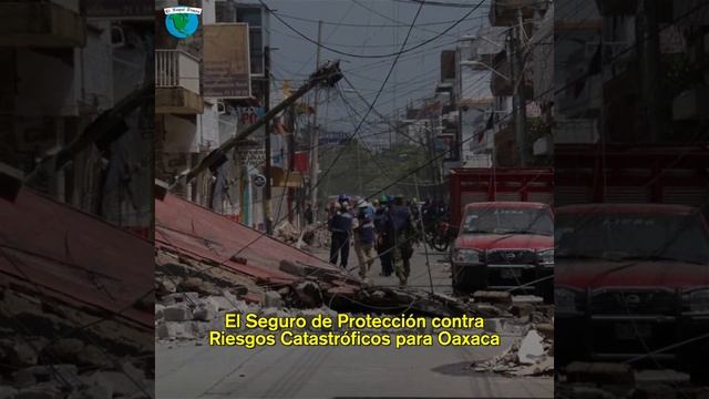 Ahora Nadie Sabe Dónde Están Los Donativos Para Damnificados Del Sismo // El Nopal News #991 смотреть онлайн