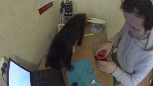 Ремонт Робот-пылесос Xiaomi Mi Robot Vacuum Cleaner (SDJQR01RR)