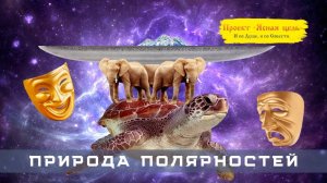 Природа полярностей.