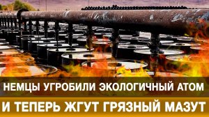 Немцы угробили экологичный атом и теперь жгут грязный мазут