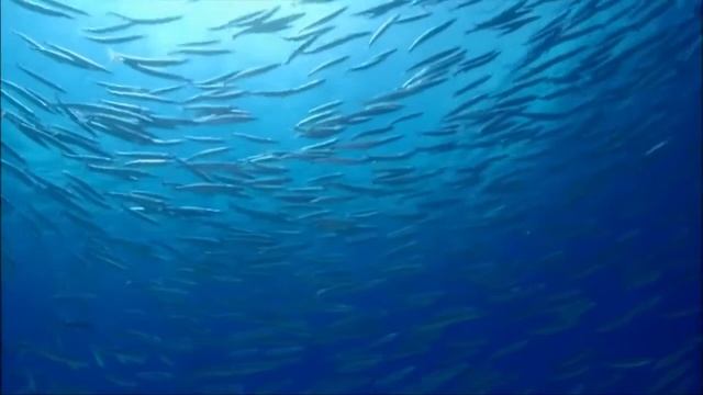 Мультивселенная Параллельные Вселенные HD