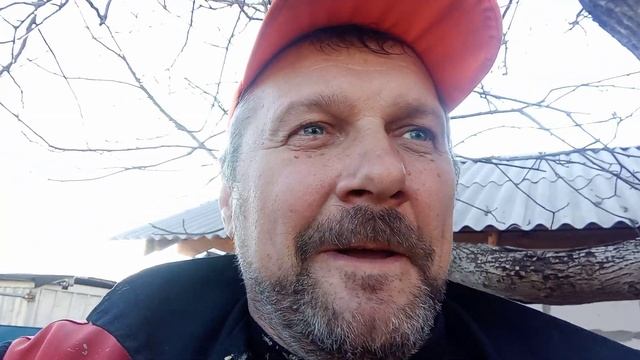 По ценам и курсам смотреть онлайн