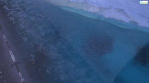 Приезд Вилюя - новогодняя зарисовка