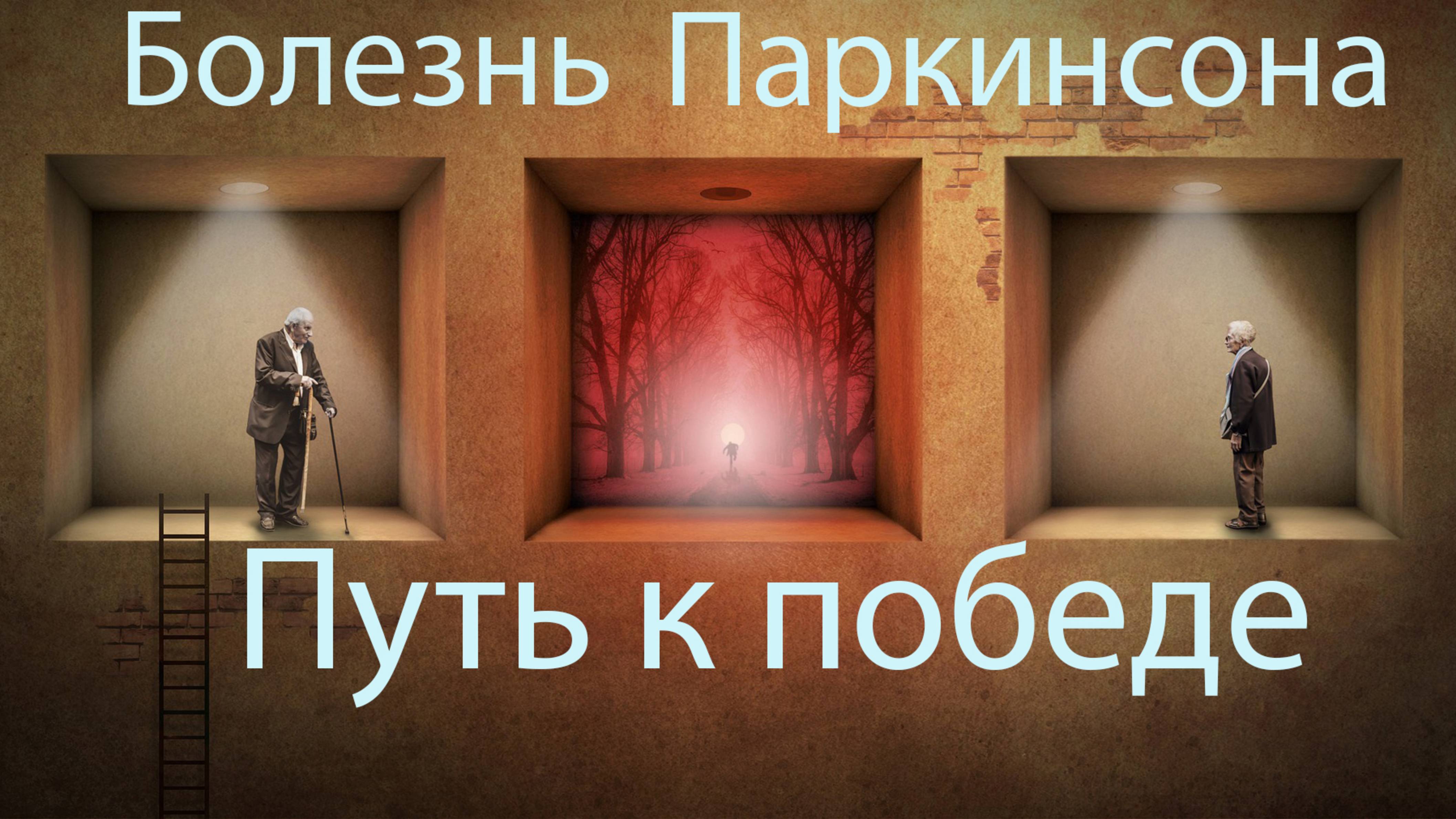 Излечение болезни Паркинсона. Система и методы восстановления, реальная история жизни.