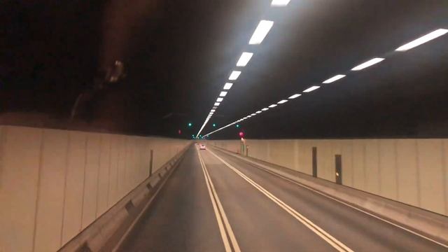 night trip | hongkong big bus | 2022 by negrang gala смотреть онлайн