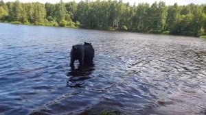 Облака этим летом..