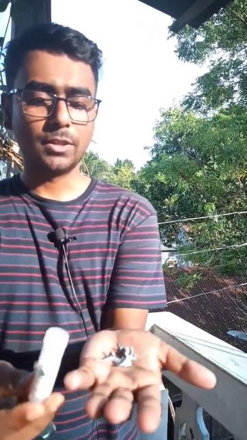 Ncert Chemistry reaction Cuso4 + Zn | Displacement reaction | Class 10 #shorts