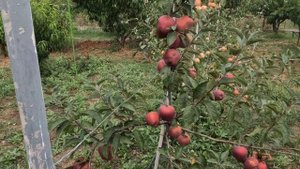 джеромини 03 09 2023