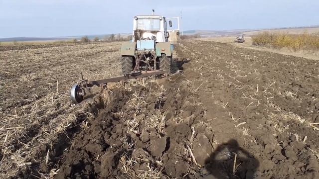 7 ноября 2019 г. смотреть онлайн