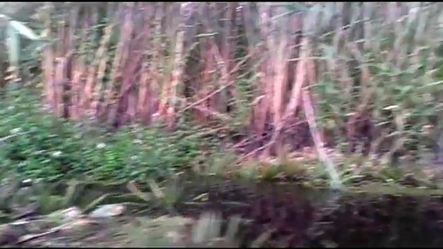 Там чорно смотреть онлайн