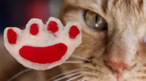 делаем таба лапку своими руками