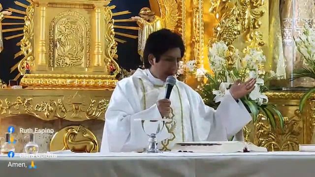 Santa misa miércoles octava de Pascua 20 04 2022. 6to día de nov al Señor de la Divina Misericordia смотреть онлайн